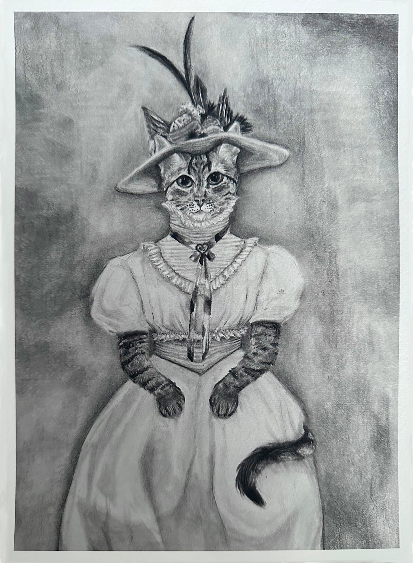 Regal Tabby