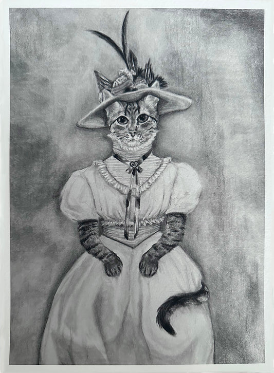 Regal Tabby